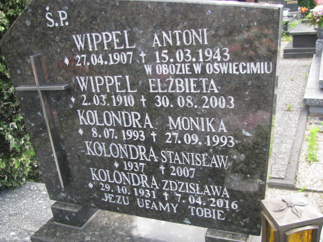 Antoni Wippel 1907 Bielsko-Biała Mikuszowice - Grobonet - Wyszukiwarka osób pochowanych