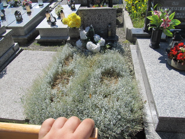 Grób Mieczysław Grabski